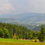 Foto-4